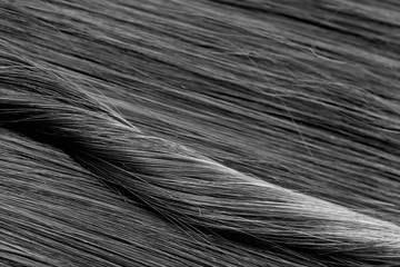 Texture close-up long straight hair black color