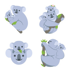 Koala on the branch with young babies. Koalas family hangs on a tree, scrambles, smiling. Set of simple cute vector illustrations of an animal, on a transparent background, in different poses