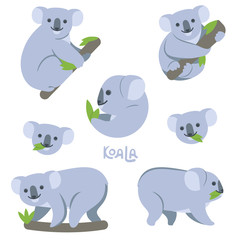 Koala on the branch eats green leaves, sits, hangs, walks. Set of simple cute vector illustrations of an animal, on a transparent background, name written by hand.