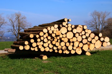 holzstapel    --         Holzpolter     polterholz