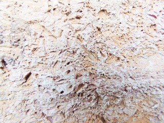 old wall background