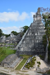 Fototapeta na wymiar Site Archéologique de Tikal Peten Guatemala