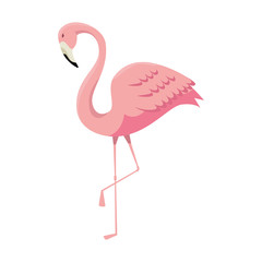 Fototapeta premium elegant flamingo bird icon