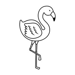 elegant flamingo bird icon