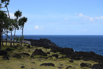 Fototapeta na wymiar Cap Méchant, La Réunion