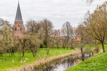 Obraz premium Cityscape of Zutphen with Drogenaps tower, a medieval city along the river IJssel in Gelderland in the Netherlands