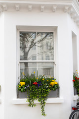A clean white facade wall and window decorated with colourful flowers in a pot
