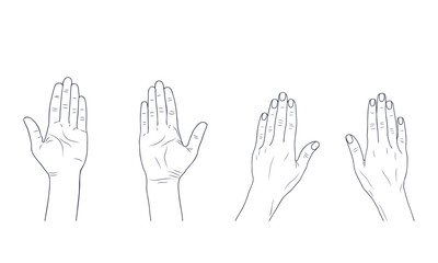 Vector sketch illustration - women's hands.