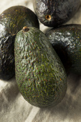 Raw Organic Green Avocados