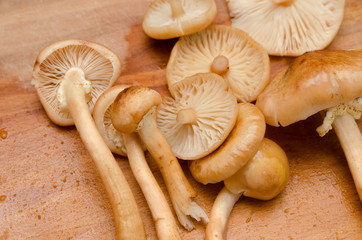 mushrooms cut into pieces and lie on the board