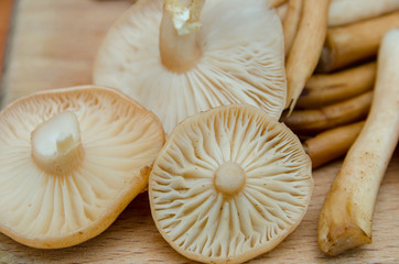 many mushrooms are on the table, a mushroom picker has gathered mushrooms in the forest