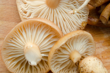 mushrooms cut into pieces and lie on the board