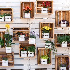 Many different bouquets of flowers in wooden boxes hanging on wall. The design in wooden style, floral design.