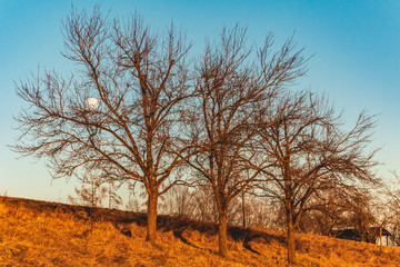 Beautiful sunset near Winzer-Danube-Bavaria-Germany