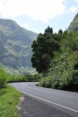 Voile de la mariée, la réunion