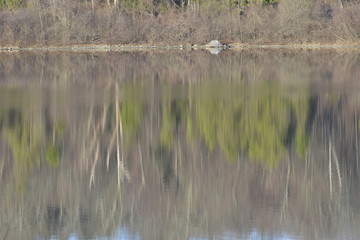 Reflections on Water