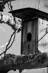 bird house natural wooden