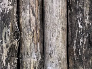 Close up detail of wood trunks texture.