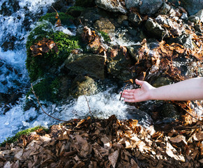 young girl hiking taking water in a stream in the forest with a stick