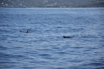 La Réunion