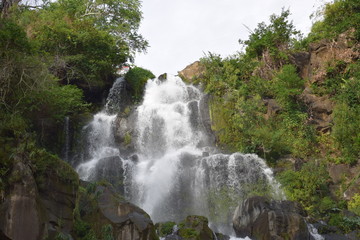 Fototapeta premium Bassin des aigrettes, la réunion