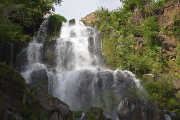 Bassin des aigrettes, la réunion