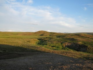Tundra in the summer. Photo of a view of nature in the Ural tundra.