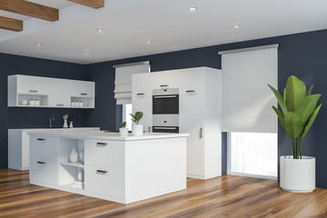 Modern style kitchen interior.