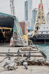 Western district cargo pier in Hong Kong