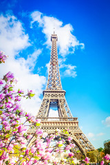 Panele Szklane  Wieża Eiffla, Francja