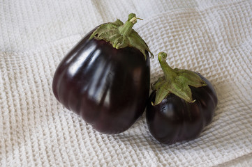 Two rape eggplants are laying on the white background. Autumn vegetables. Delicious and healthy food