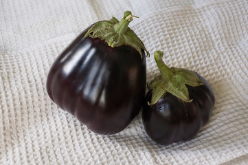Two rape eggplants are laying on the white background. Autumn vegetables. Delicious and healthy food