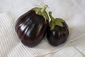 Two rape eggplants are laying on the white background. Autumn vegetables. Delicious and healthy food