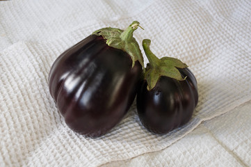 Two rape eggplants are laying on the white background. Autumn vegetables. Delicious and healthy food