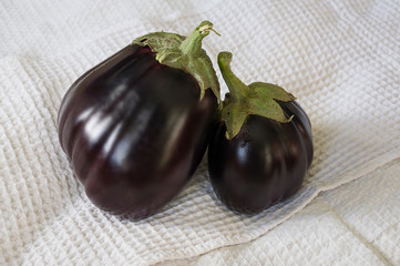 Two rape eggplants are laying on the white background. Autumn vegetables. Delicious and healthy food