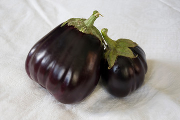 Two rape eggplants are laying on the white background. Autumn vegetables. Delicious and healthy food