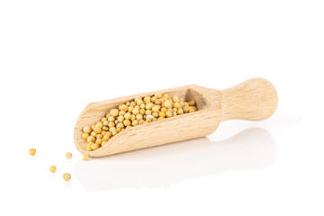 Lot of whole white mustard seeds with wooden scoop isolated on white background