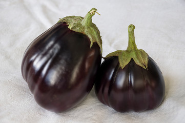 Two rape eggplants are laying on the white background. Autumn vegetables. Delicious and healthy food