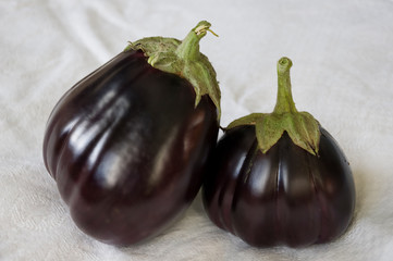 Two rape eggplants are laying on the white background. Autumn vegetables. Delicious and healthy food