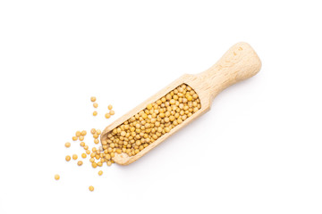 Lot of whole white mustard seeds with wooden scoop flatlay isolated on white background