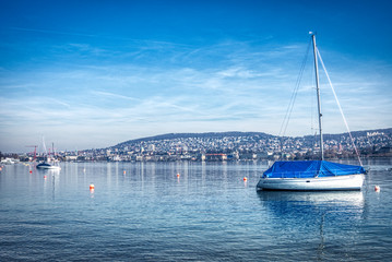 Seesicht