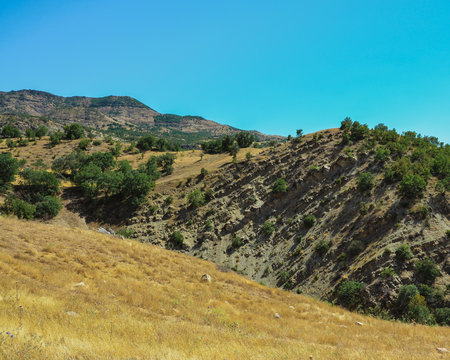 Berg Wald Fels Natur