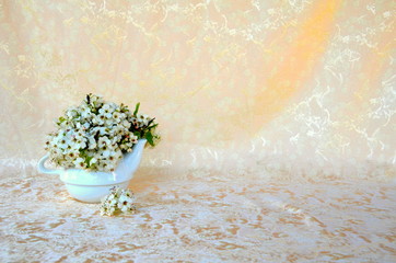 Decorative flowers in a teapot with velvety background