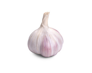 Garlic bulb Isolated against a white background.