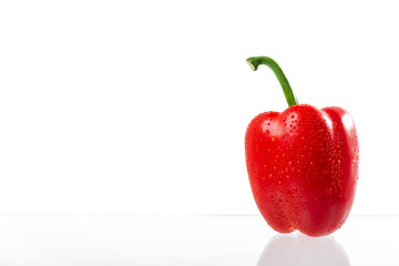 Red bell pepper with water drops isolated on white background. Studio light. Healthy eating concept.