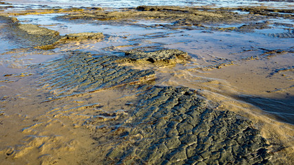 Wet aged old rocks on beach Sunshine Coast Australia