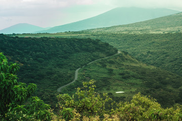 Green landscape with lots of trees a road and a canyon