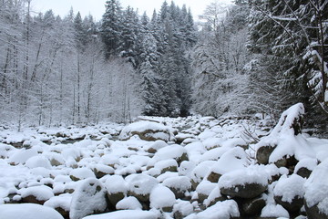 Snowy Day at Lynn Canyon Park