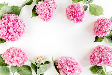Frame of pink hydrangea flowers with space for text on white background. Floral concept. Flat lay,...