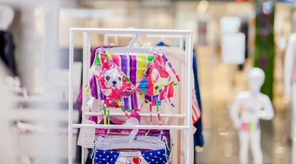 Women's swimsuits for sale at a seaside shop. Advertise, Sale, Fashion concept